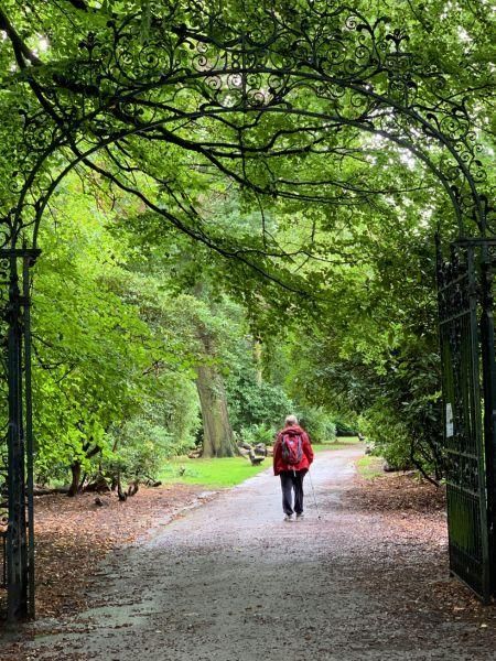 Person walking in a park