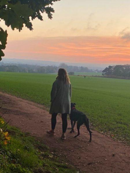 A woman walking a dog as the sun goes down - positive image library